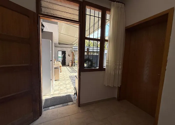 بيت شباب Alina