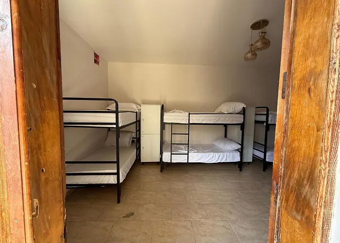 Alina بيت شباب