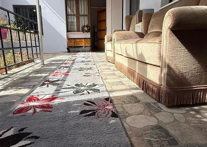 Alina بيت شباب