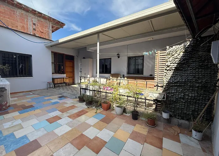 بيت شباب Alina